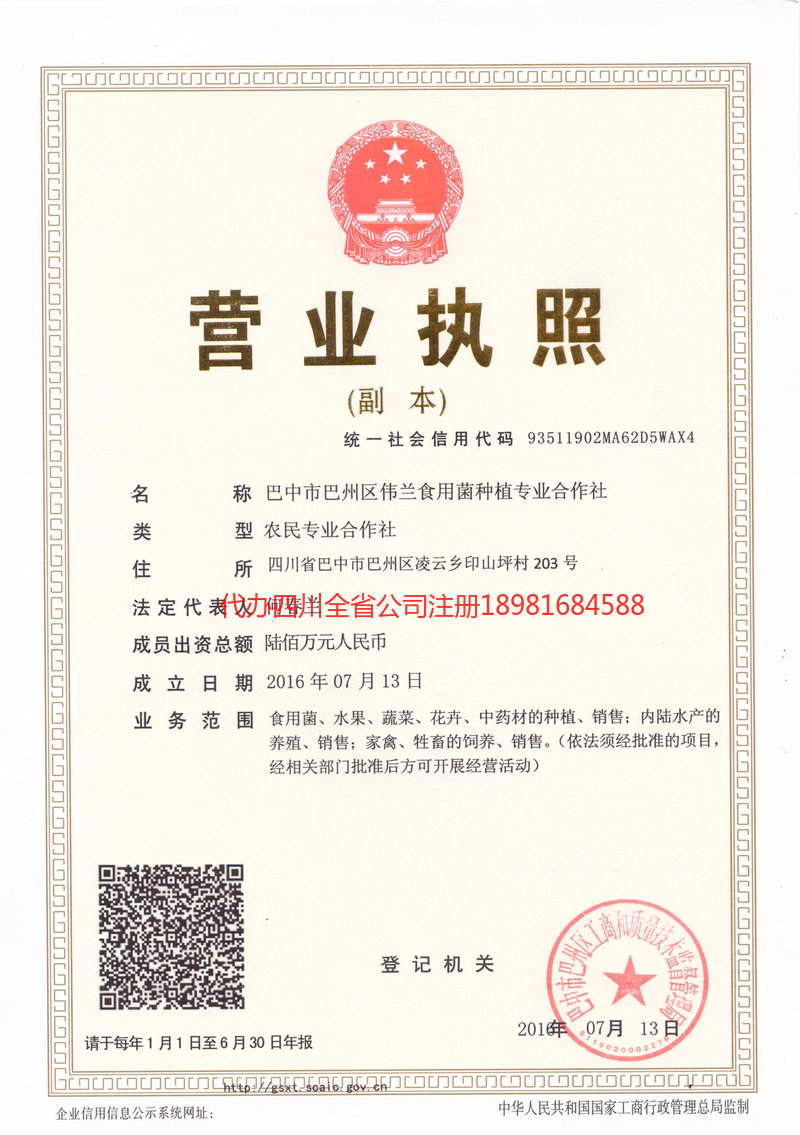 乳山乳山伟兰食用菌种植专业合作社